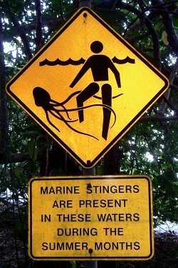 Jellyfish Marine Stinger Warning Sign